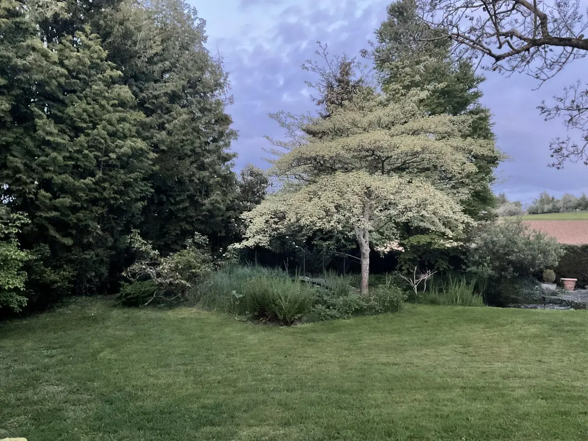 LocationRobot - Film Location Villa LR5653 (photo 39)