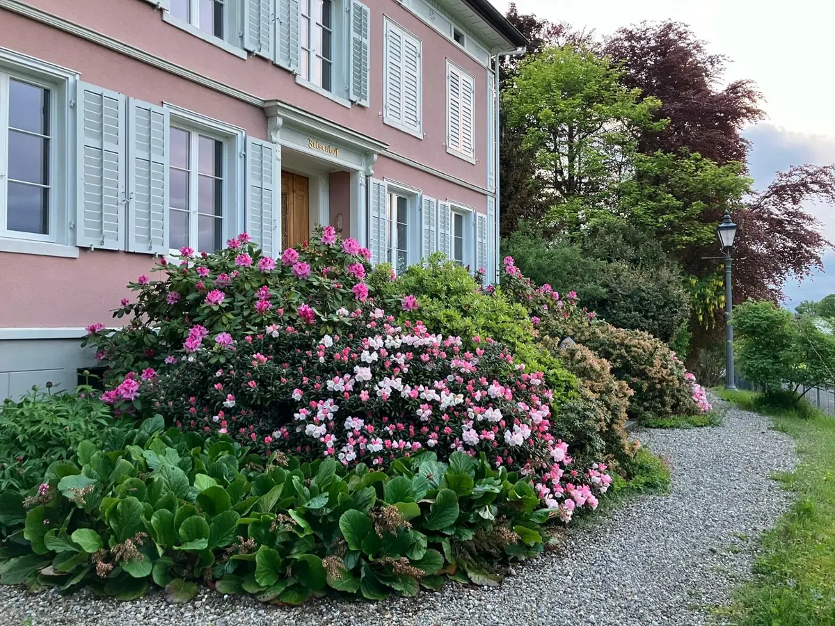 LocationRobot - Film Location Villa LR5653 (photo 32)