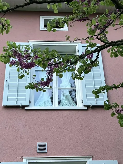 LocationRobot - Film Location Villa LR5653 (photo 31)