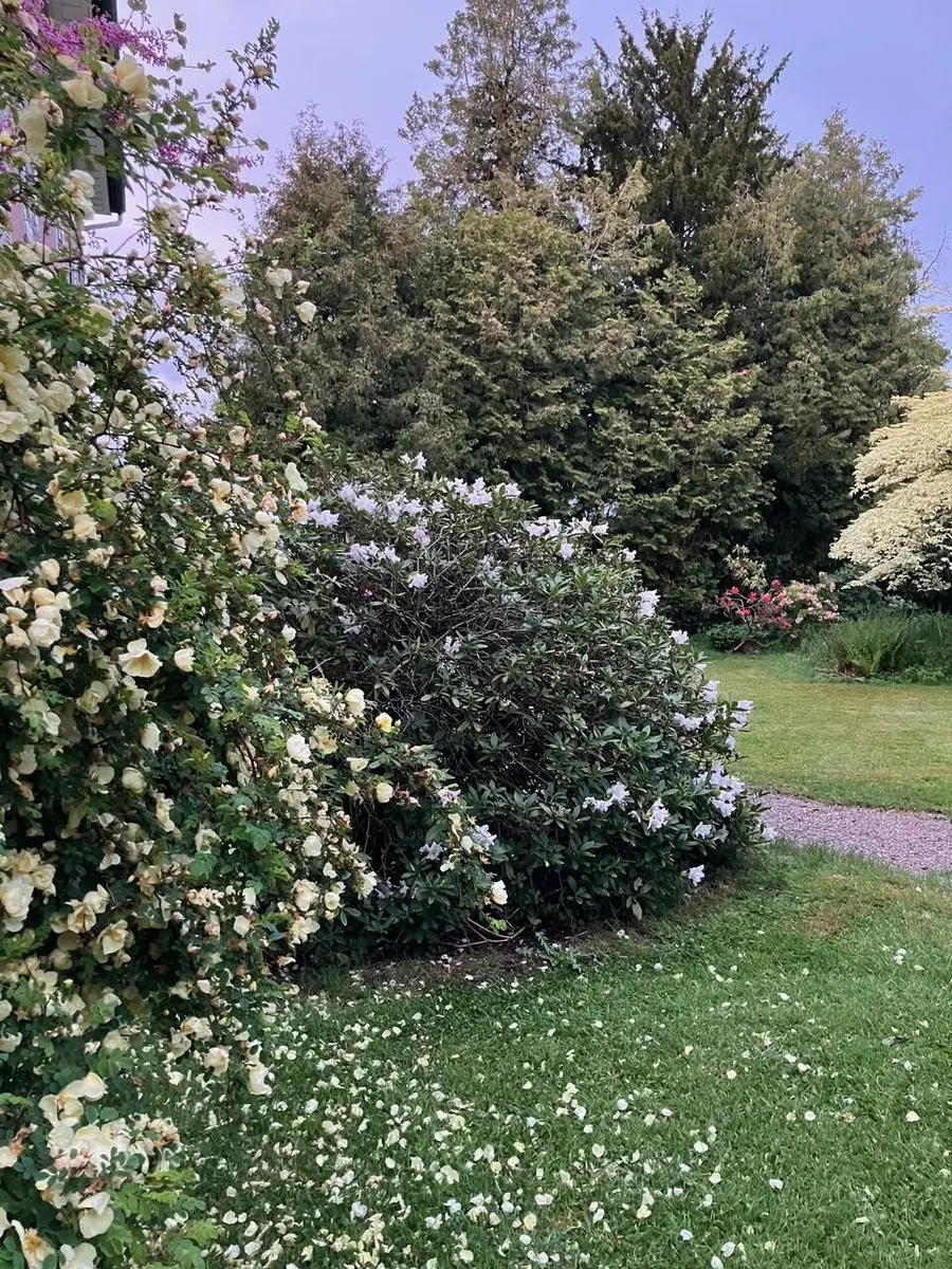 LocationRobot - Film Location Villa LR5653 (photo 43)