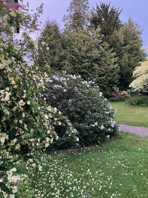 LocationRobot - Film Location Villa LR5653 (photo 43)