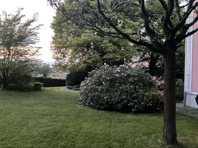 LocationRobot - Film Location Villa LR5653 (photo 37)