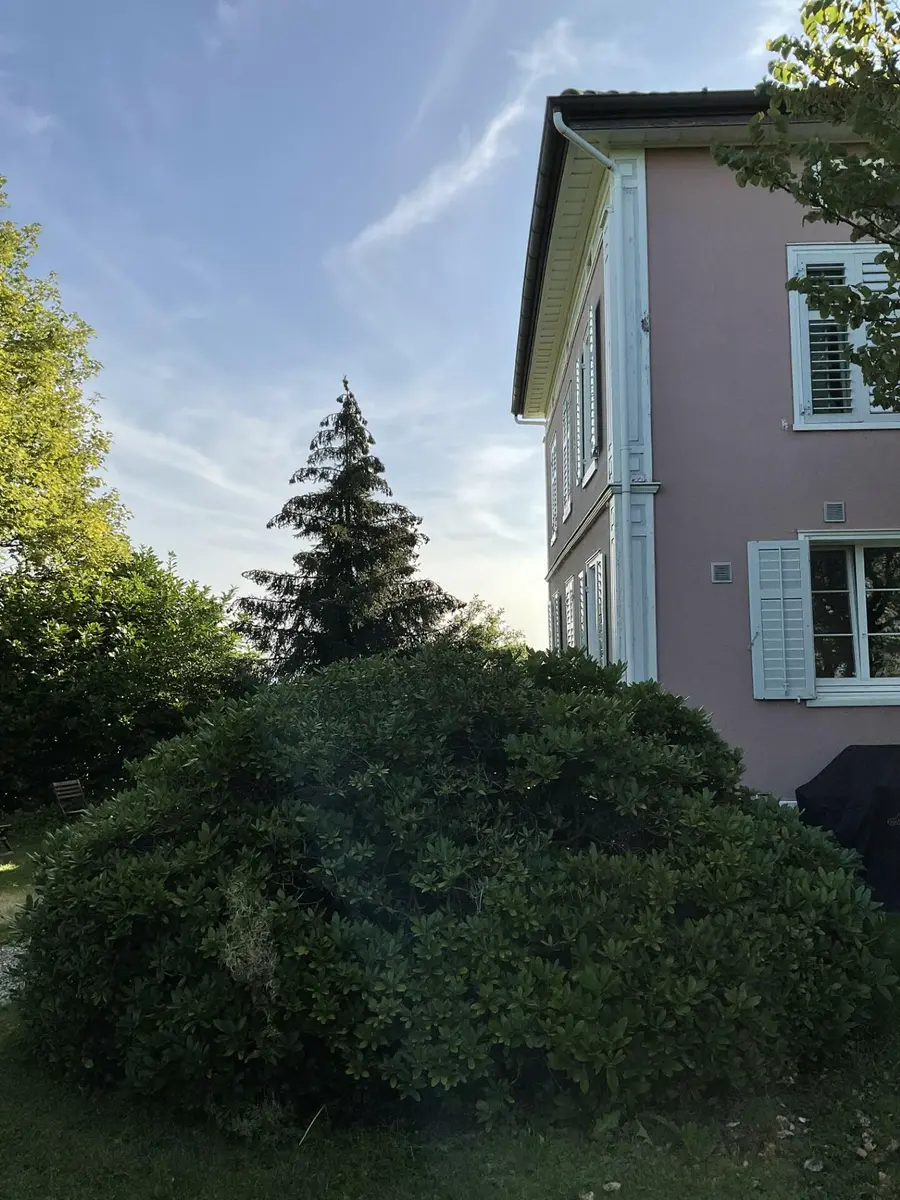 LocationRobot - Film Location Villa LR5653 (photo 33)