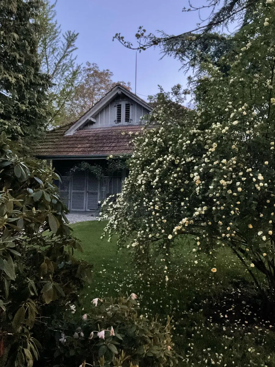 LocationRobot - Film Location Villa LR5653 (photo 40)