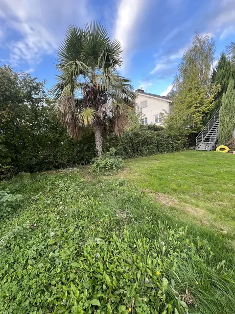 LocationRobot - Film Location Haus LR5706 (photo 55)