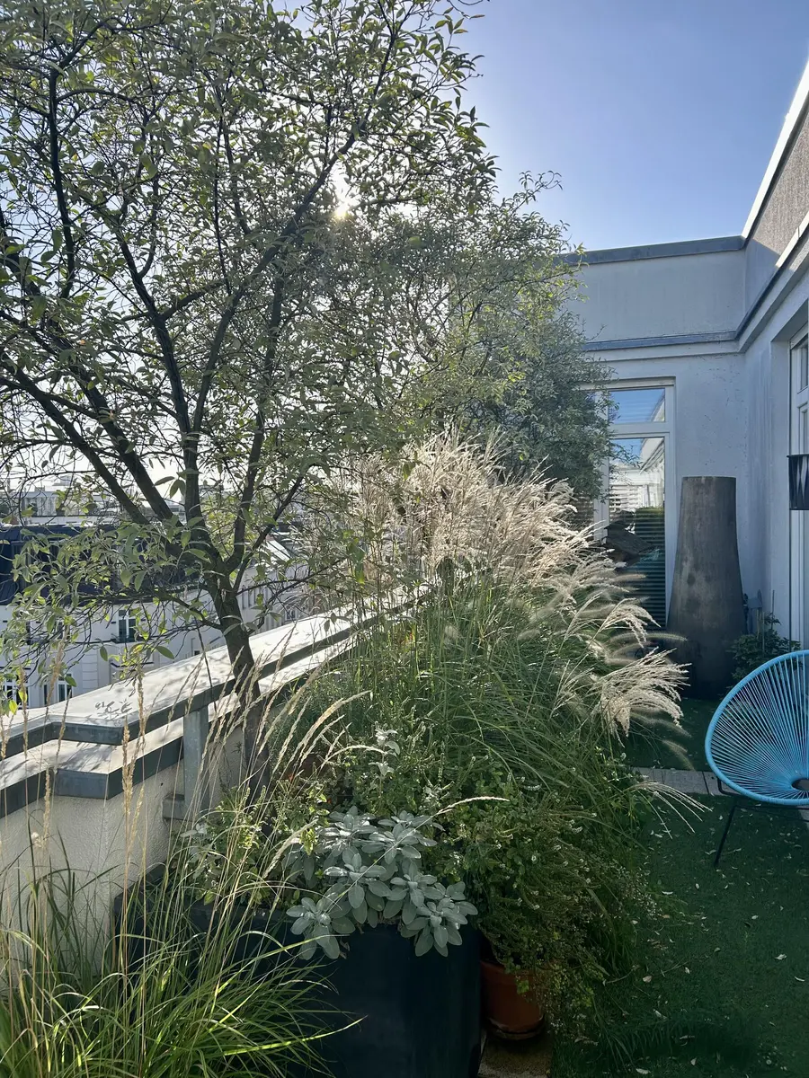 LocationRobot - Film Location Penthouse LR5707 (photo 31)