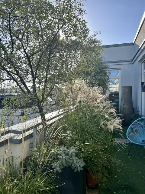 LocationRobot - Film Location Penthouse LR5707 (photo 31)