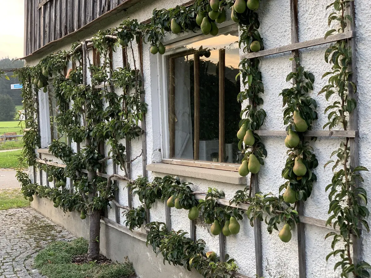 LocationRobot - Film Location Bauernhaus LR5711 (photo 43)