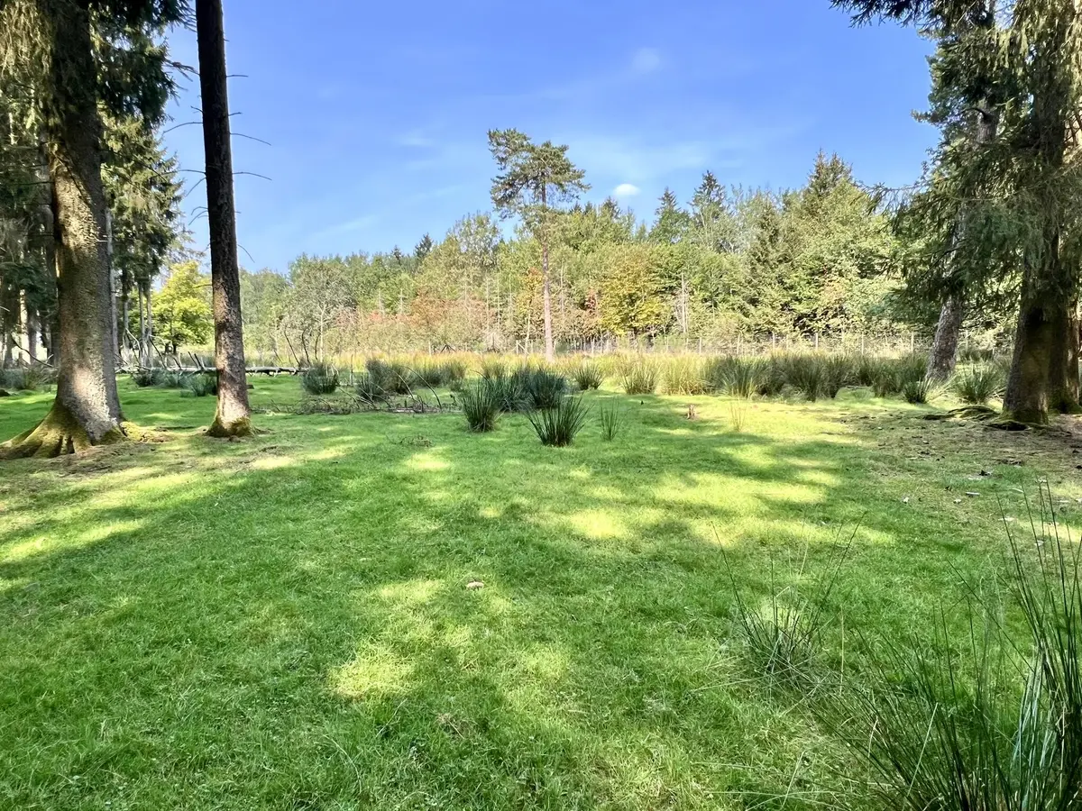LocationRobot - Film Location Haus LR5713 (photo 31)