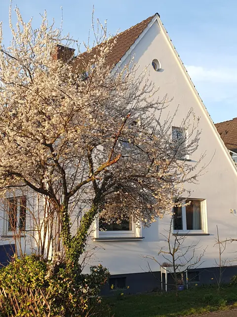 LocationRobot - Film Location Einfamilienhaus LR5743 (photo 27)