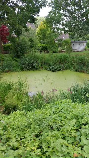 LocationRobot - Film Location Blockhaus LR5788 (photo 54)