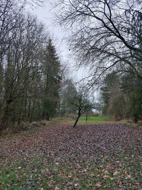 LocationRobot - Film Location Jagdhaus LR5804 (photo 40)