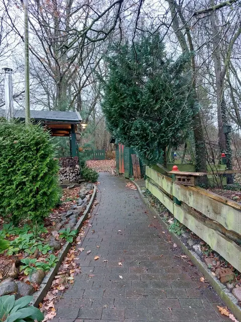 LocationRobot - Film Location Jagdhaus LR5804 (photo 33)