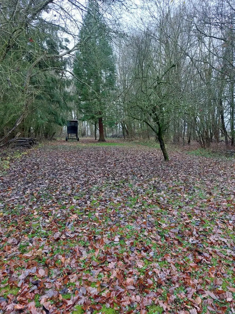 LocationRobot - Film Location Jagdhaus LR5804 (photo 41)