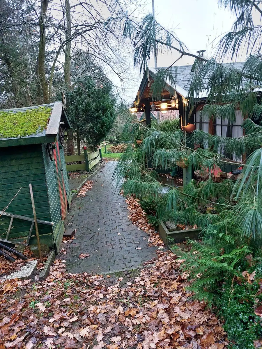 LocationRobot - Film Location Jagdhaus LR5804 (photo 37)