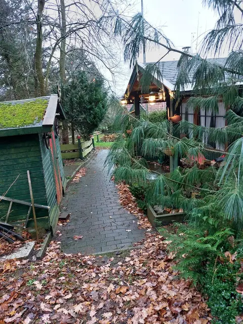 LocationRobot - Film Location Jagdhaus LR5804 (photo 37)