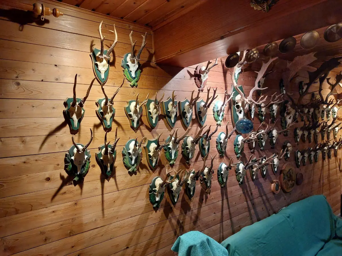 LocationRobot - Film Location Jagdhaus LR5804 (photo 19)