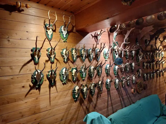 LocationRobot - Film Location Jagdhaus LR5804 (photo 19)