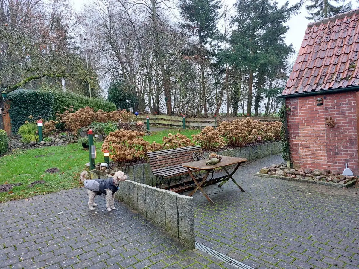 LocationRobot - Film Location Jagdhaus LR5804 (photo 4)