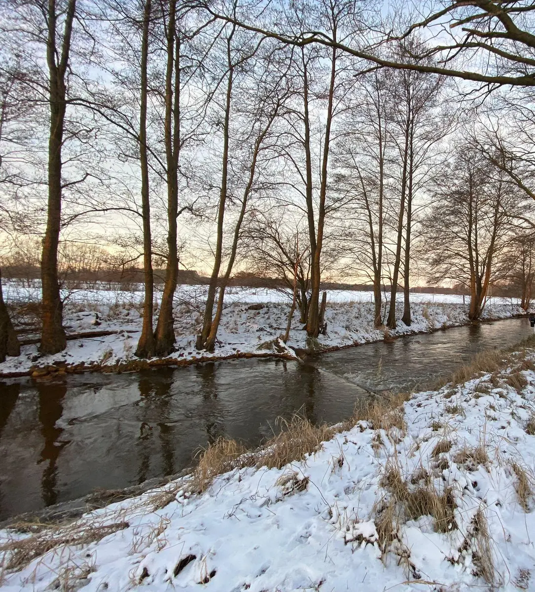 LocationRobot - Film Location Landhaus LR5832 (photo 29)