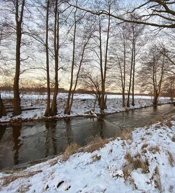 LocationRobot - Film Location Landhaus LR5832 (photo 29)