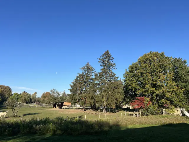 LocationRobot - Film Location Ferienhaus LR5903 (photo 29)