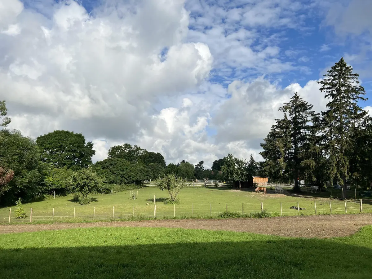 LocationRobot - Film Location Ferienhaus LR5903 (photo 28)