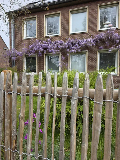 LocationRobot - Film Location Einfamilienhaus LR5936 (photo 62)