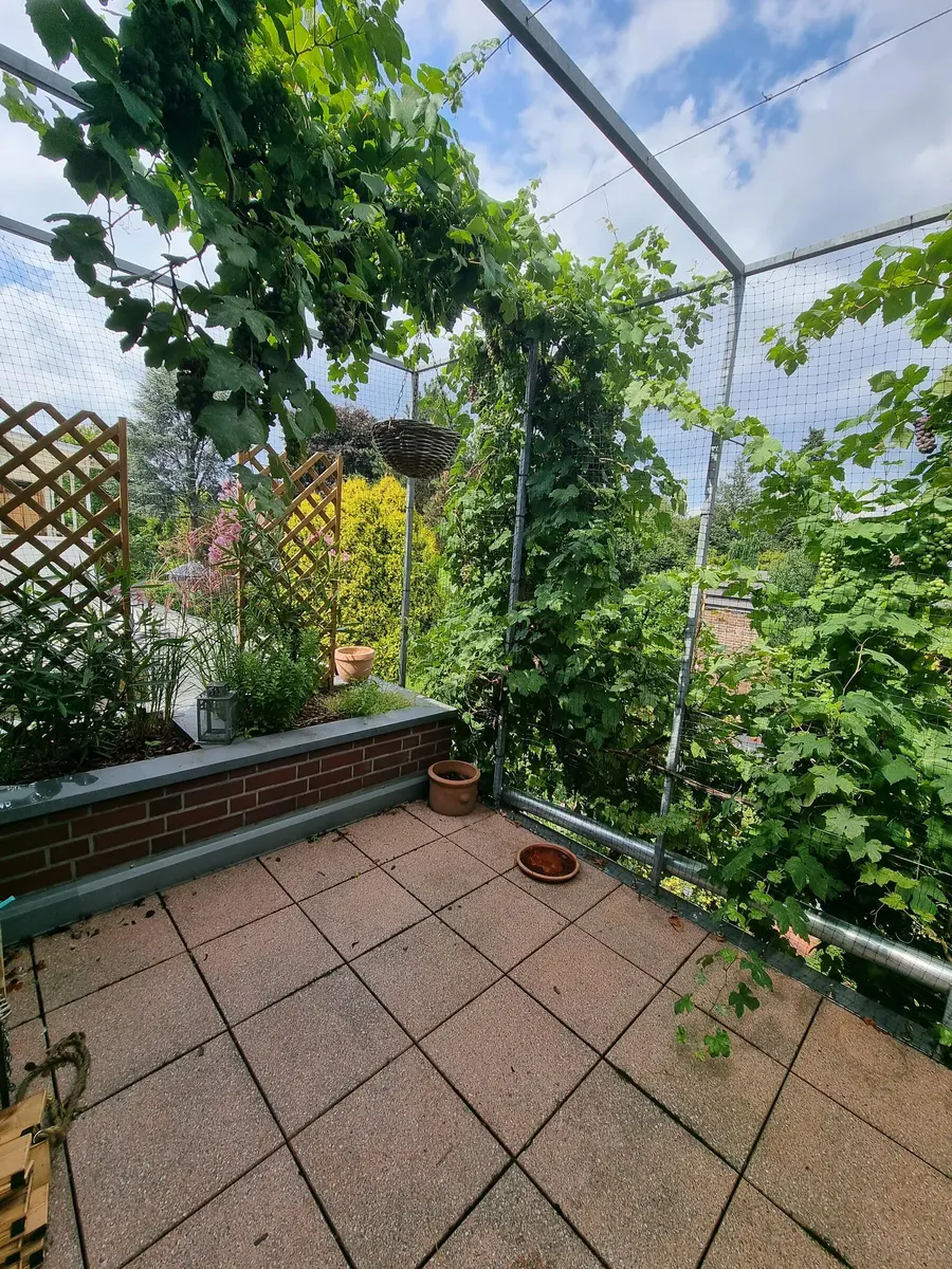 LocationRobot - Film Location Einfamilienhaus LR5936 (photo 69)