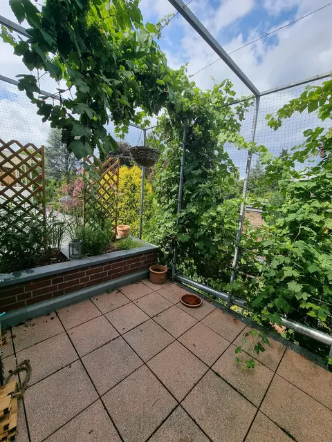 LocationRobot - Film Location Einfamilienhaus LR5936 (photo 69)