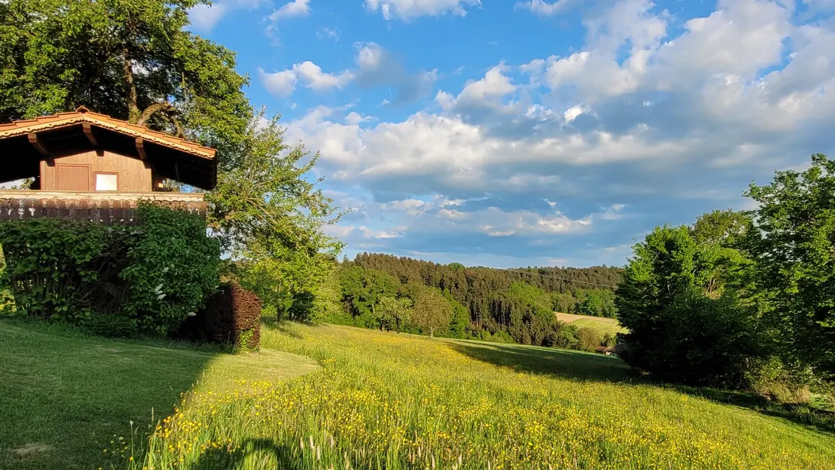 LocationRobot - Film Location Bauernhaus LR6034 (photo 37)