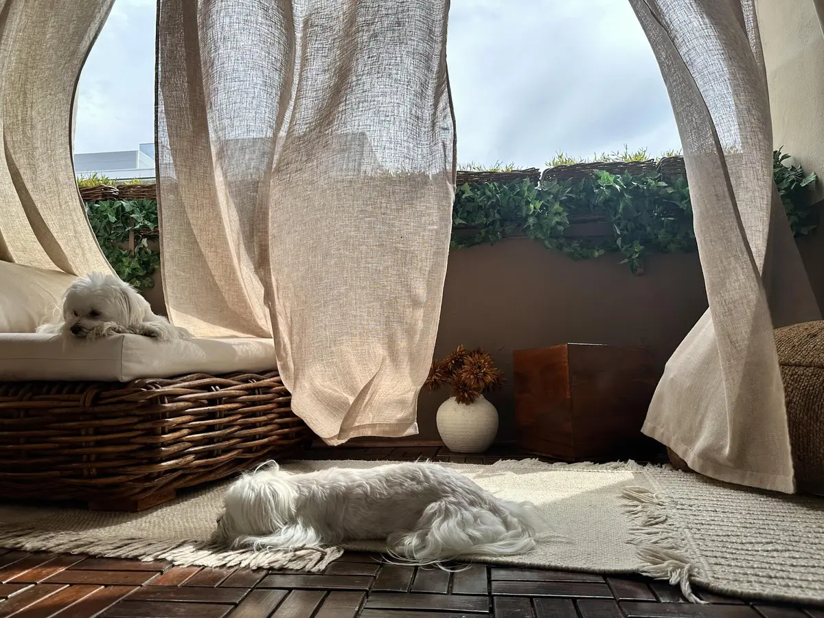 LocationRobot - Film Location Wohnung LR6109 (photo 37)