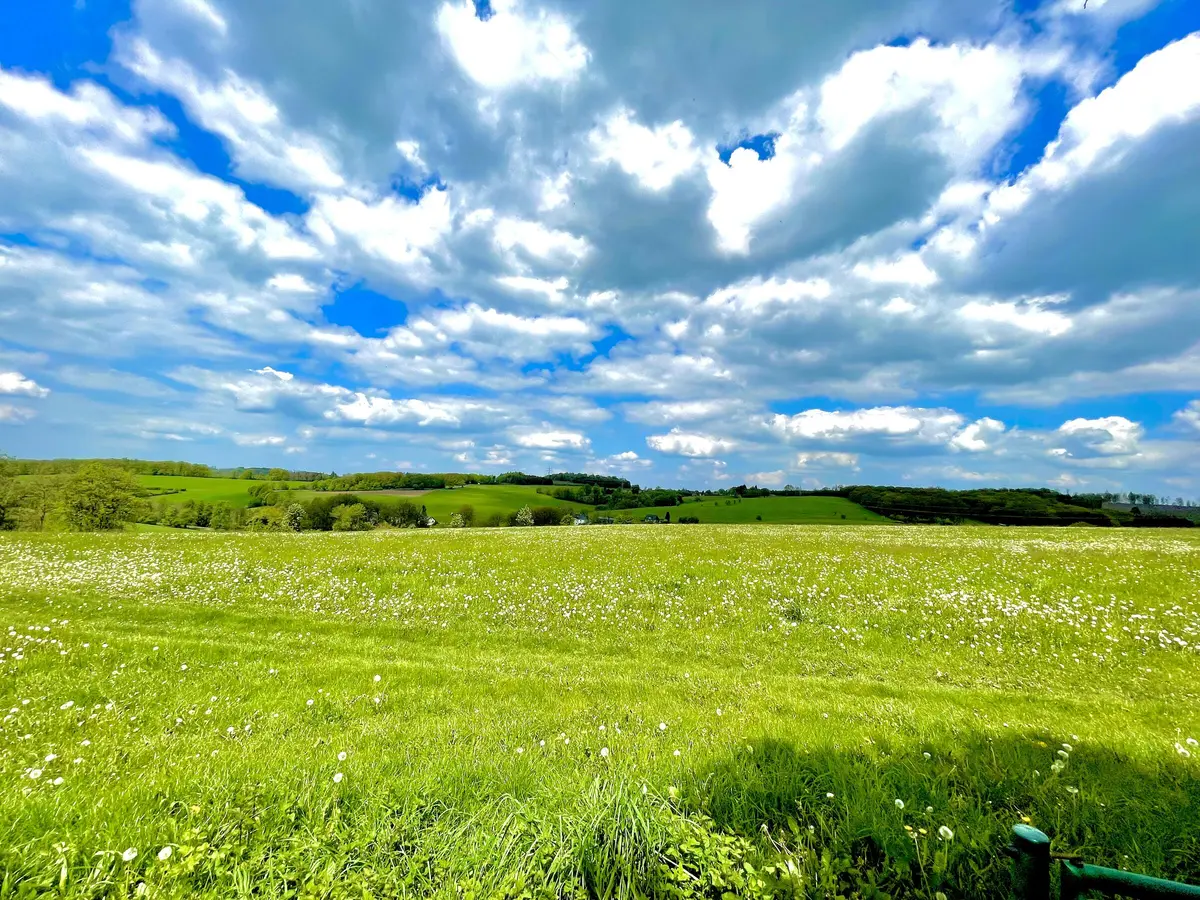 LocationRobot - Film Location Villa LR6126 (photo 30)