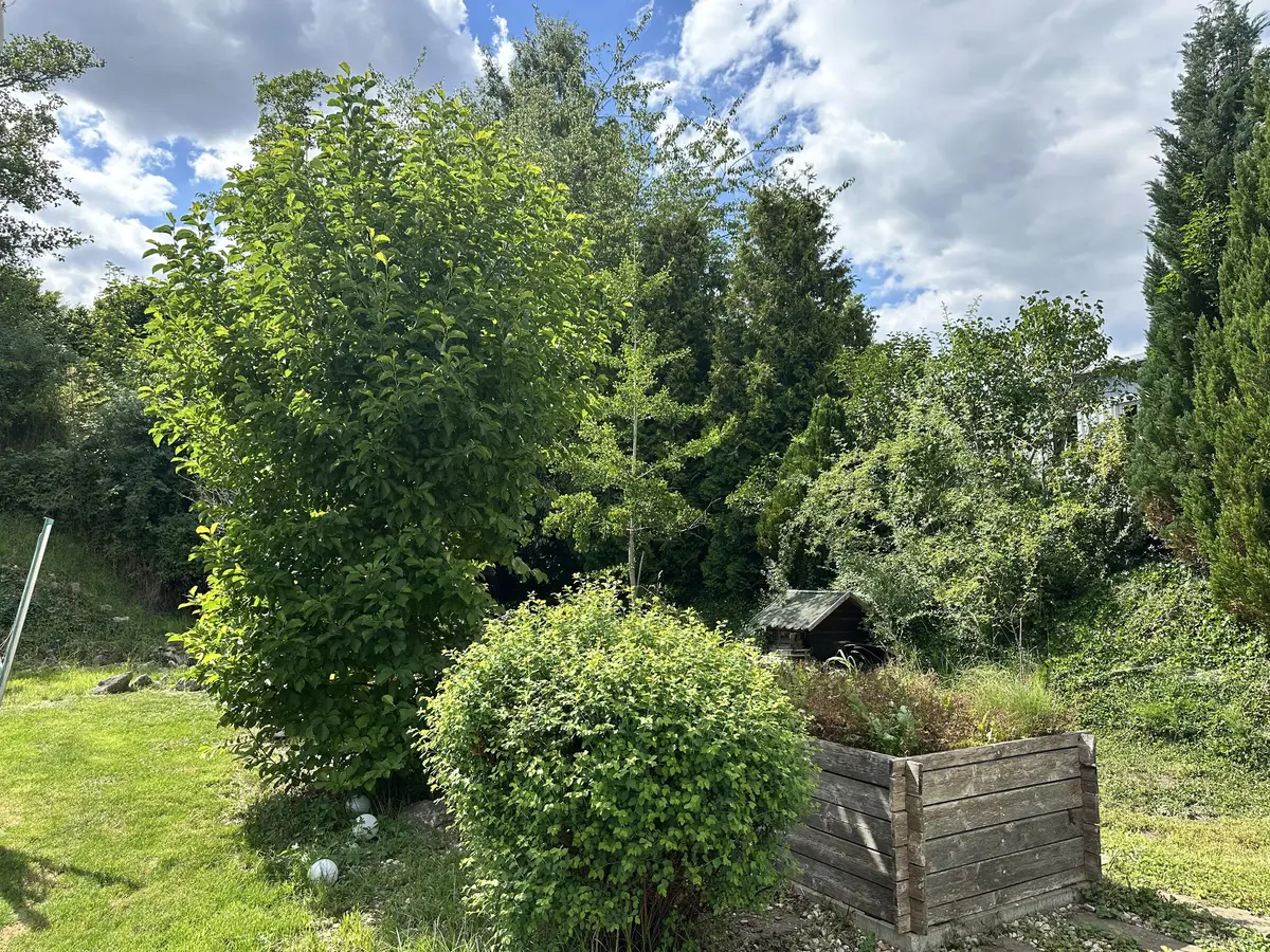 LocationRobot - Film Location Einfamilienhaus LR6175 (photo 48)