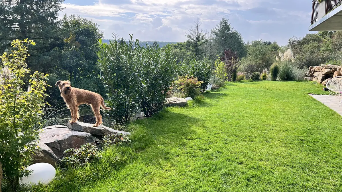 LocationRobot - Film Location Haus LR6179 (photo 37)