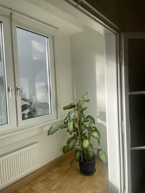 LocationRobot - Film Location Wohnung LR6187 (photo 17)