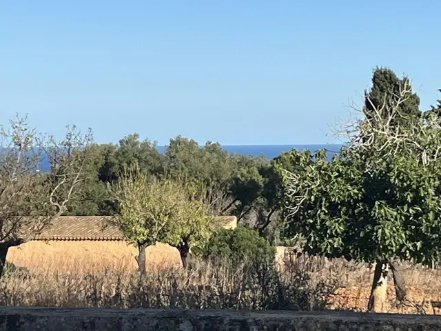 LocationRobot - Film Location Ferienhaus LR6202 (photo 21)