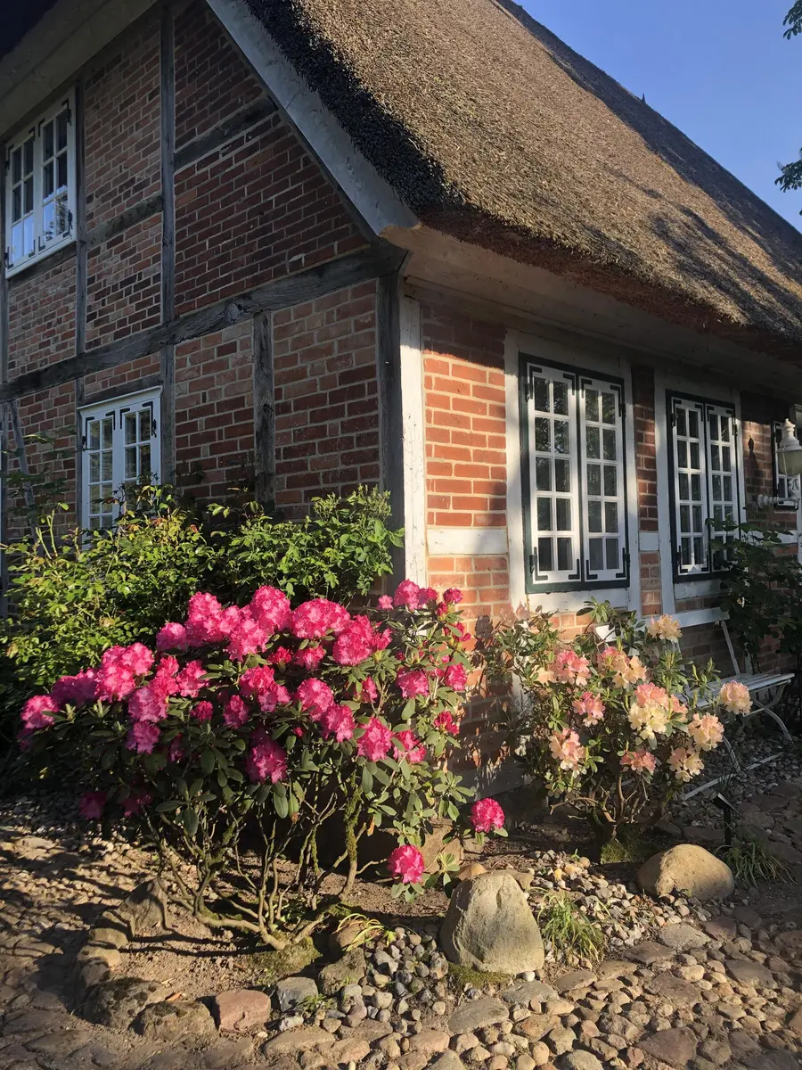 LocationRobot - Film Location Landhaus LR6218 (photo 3)