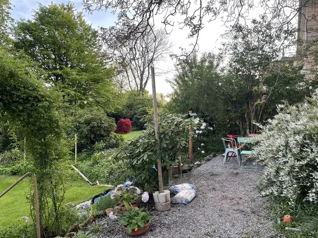 LocationRobot - Film Location Einfamilienhaus LR6229 (photo 22)