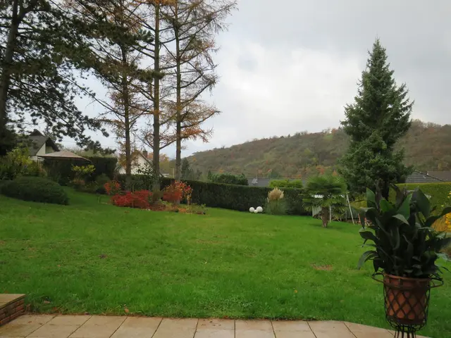 LocationRobot - Film Location Einfamilienhaus LR6233 (photo 25)