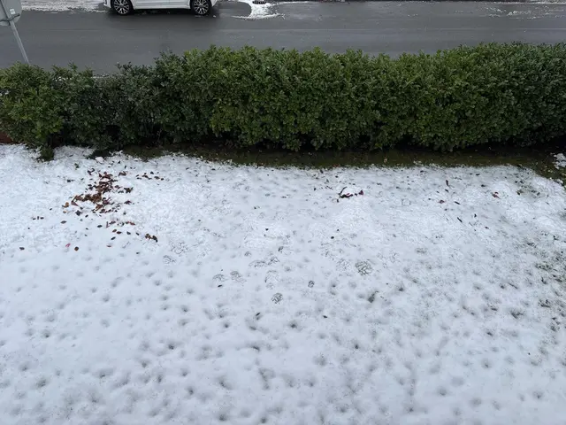 LocationRobot - Film Location Haus LR6238 (photo 30)