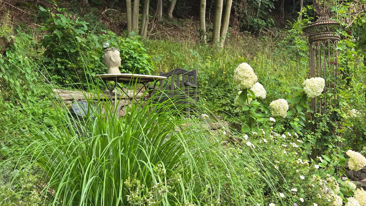 LocationRobot - Film Location Landhaus LR6288 (photo 23)