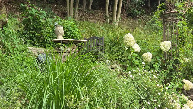 LocationRobot - Film Location Landhaus LR6288 (photo 23)