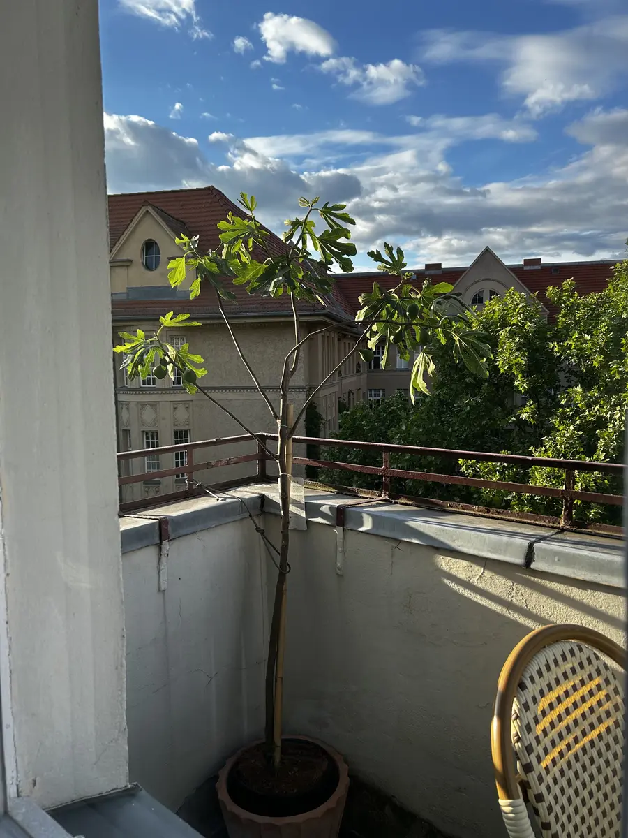 LocationRobot - Film Location Wohnung LR6456 (photo 23)
