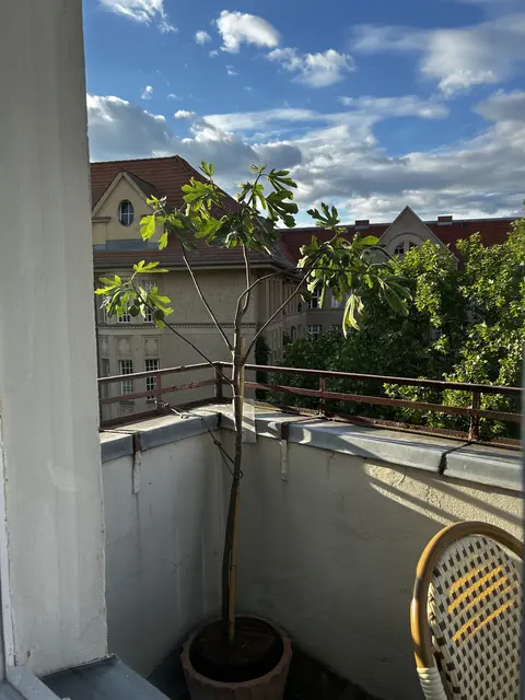 LocationRobot - Film Location Wohnung LR6456 (photo 23)