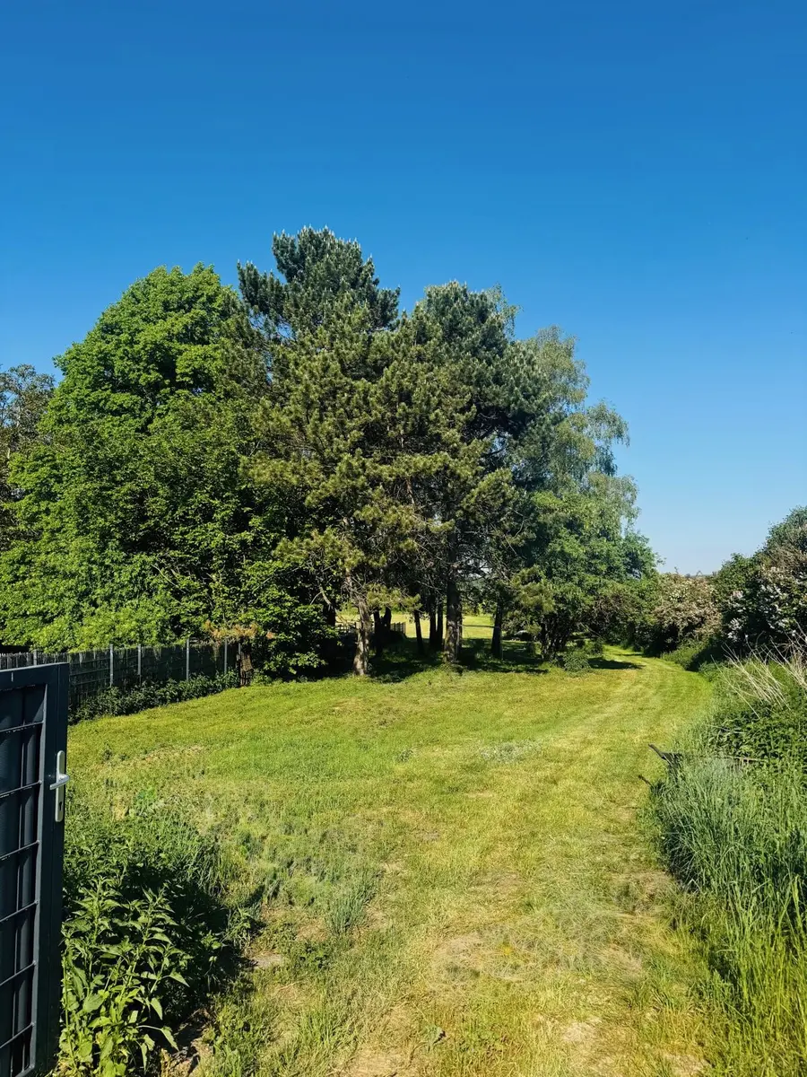 LocationRobot - Film Location Holzhaus LR6480 (photo 25)