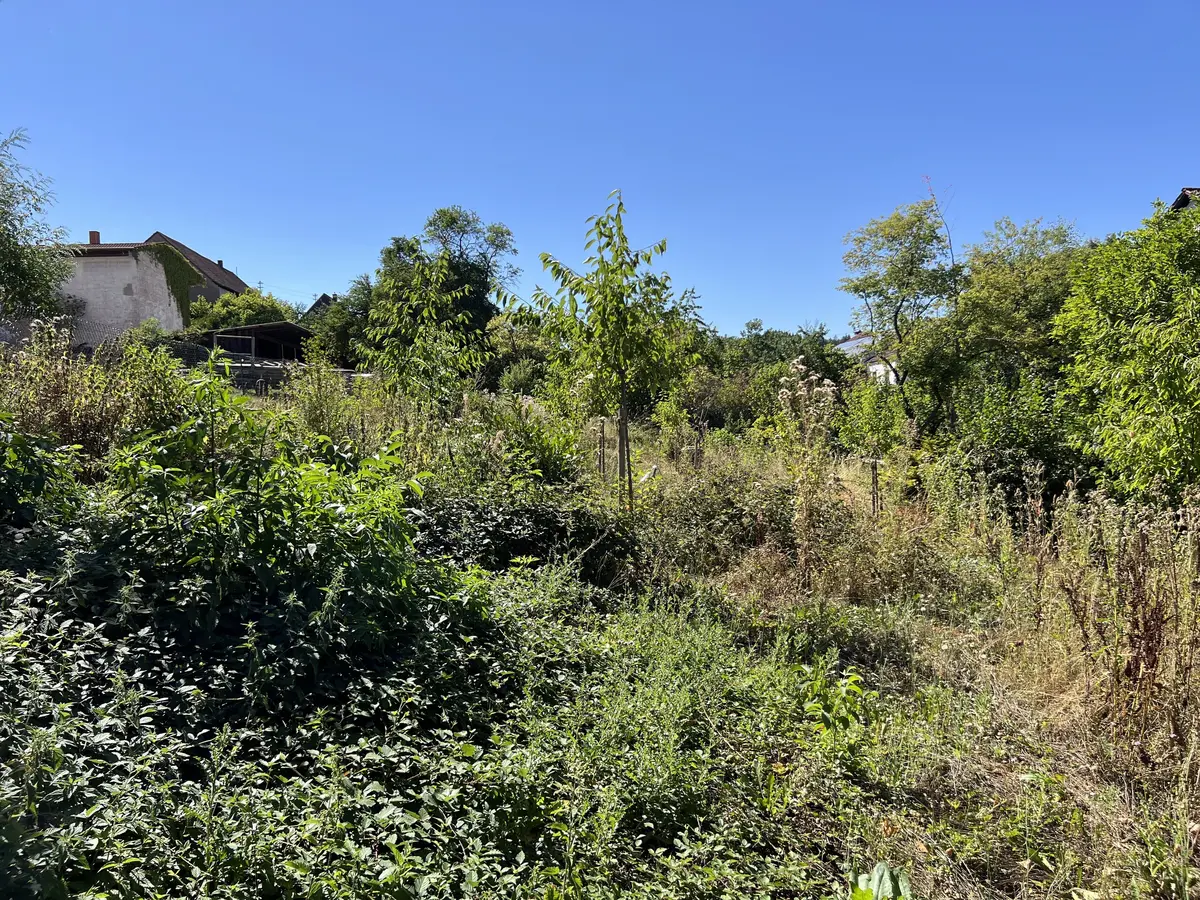 LocationRobot - Film Location Ferienhaus LR6504 (photo 87)