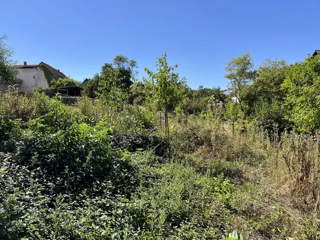 LocationRobot - Film Location Ferienhaus LR6504 (photo 87)