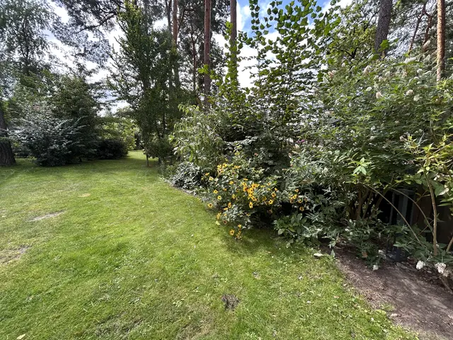 LocationRobot - Film Location Einfamilienhaus LR6515 (photo 38)