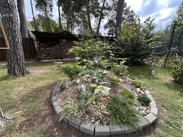 LocationRobot - Film Location Einfamilienhaus LR6515 (photo 44)